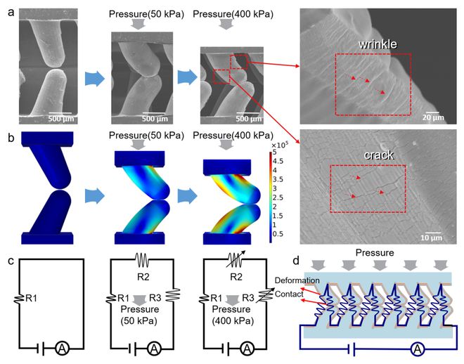 青岛大学田明伟教授ACSNano：探索水下交互新境界智能手套应用于手势识别(图5)