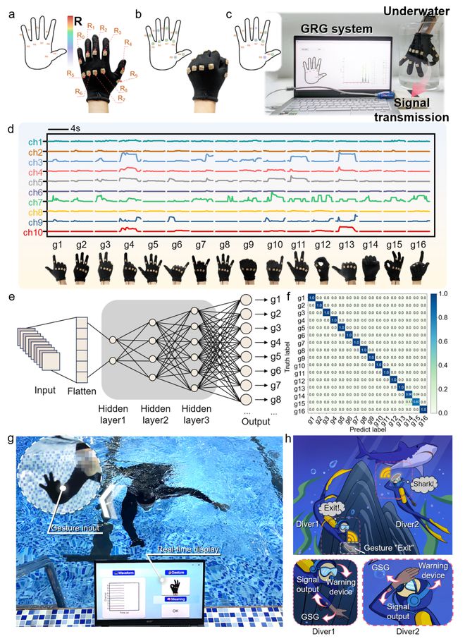 青岛大学田明伟教授ACSNano：探索水下交互新境界智能手套应用于手势识别(图6)