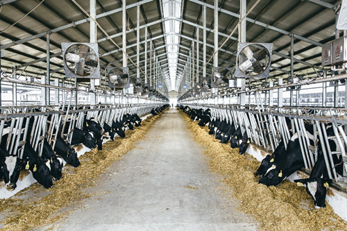 智能制造_中国网(图8)