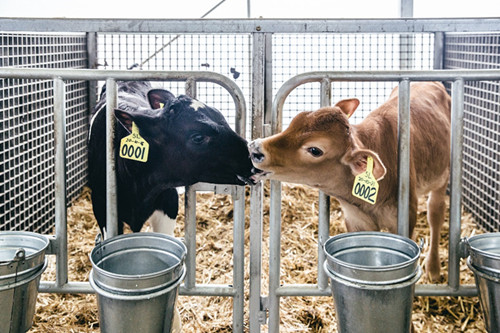 智能制造_中国网(图9)