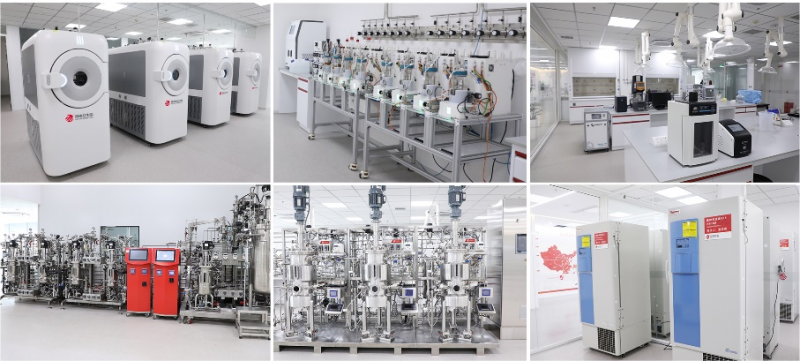 微康益生菌：以菌种智能制造驱动产业“芯片”高质量发展(图2)