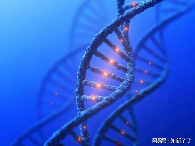 人工智能发现了隐藏在“垃圾”DNA中的癌症驱动因素(图1)