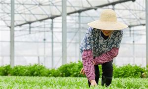 中国工业机器人行业发展现状及前景分析(图4)