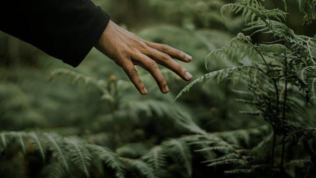 机器人技术革新：未来生活的智能舵手(图3)
