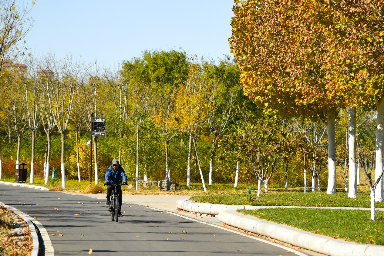 做足“一泓碧水”文章天津东丽激活区域高质量发展内生动力(图1)