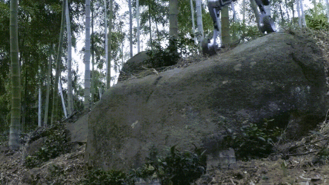 XYoutubeReddit全网刷爆这家杭州公司全地形越野机器人火了(图15)