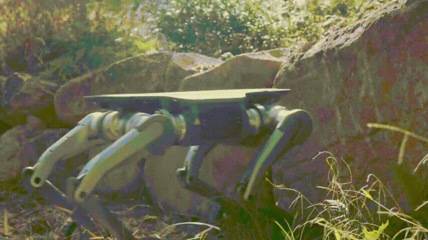 XYoutubeReddit全网刷爆这家杭州公司全地形越野机器人火了(图16)