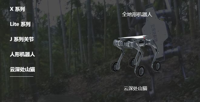 XYoutubeReddit全网刷爆这家杭州公司全地形越野机器人火了(图17)