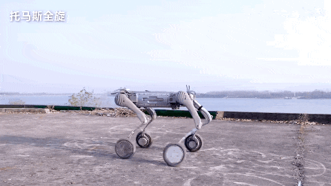 当你太奶都研究起了机器人你还不投点未来？(图1)