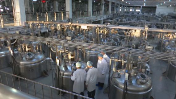 江苏连云港：数智赋能竞逐“智改数转”新赛道(图1)