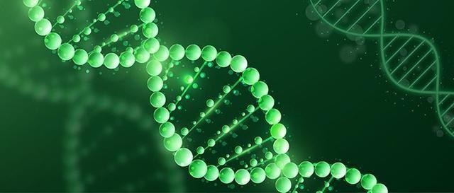 巨子生物活性材料生产基地落户西安高新激活生物合成产业新引擎(图5)