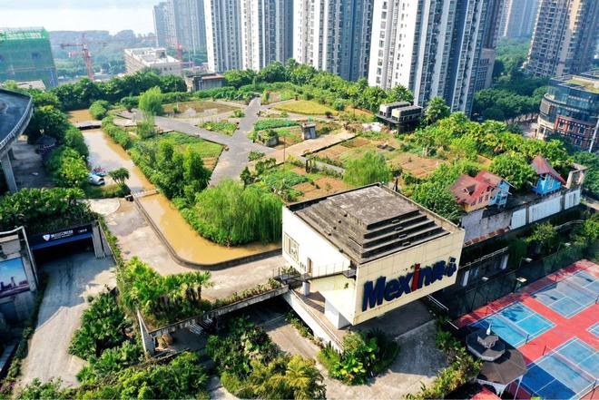 重庆南岸制造企业入选全国数字化绿色化协同转型发展典型案例(图2)