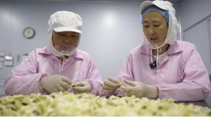 黃山市徽州區：科技賦能添活力徽州科技型中小企業集群“破繭成蝶”(图2)