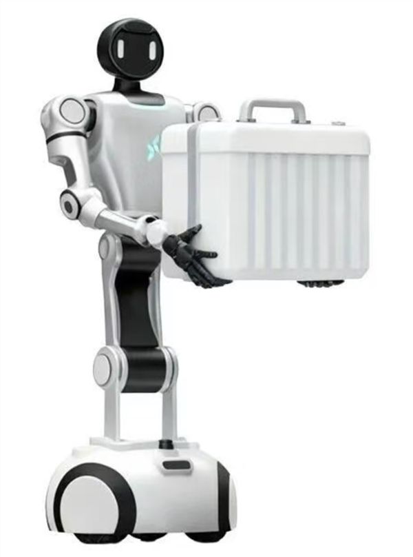 仅售399万？人形机器人商业化进程加速(图2)