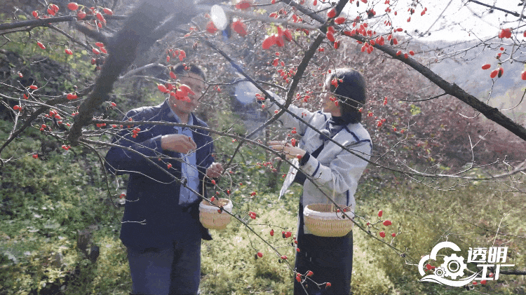 人民网“透明工厂”走进仲景宛西制药探寻智能制造里的“古方新魂”(图2)