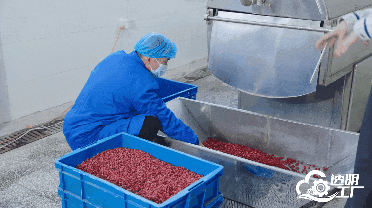 人民网“透明工厂”走进仲景宛西制药探寻智能制造里的“古方新魂”(图3)