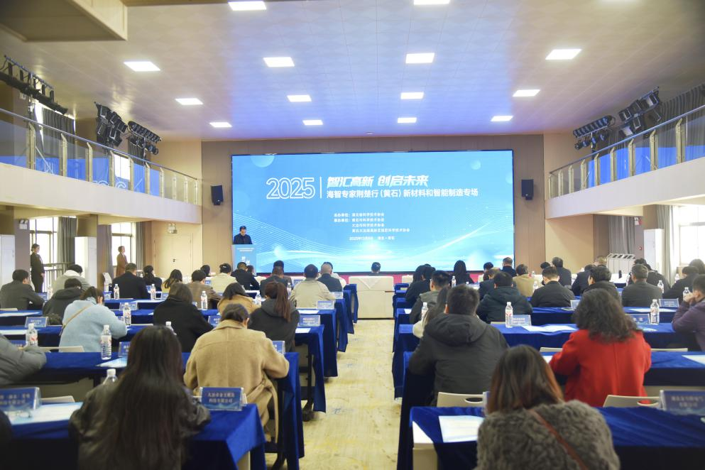 智汇高新创启未来——2025年海智专家荆楚行(黄石)新材料和智能制造专场活动在黄石大冶湖高新区举行(图3)