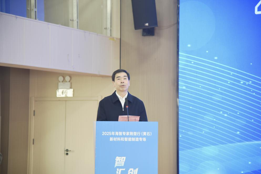 智汇高新创启未来——2025年海智专家荆楚行(黄石)新材料和智能制造专场活动在黄石大冶湖高新区举行(图4)