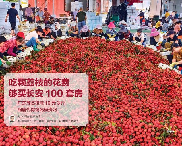 一年带娃看了几百个地方！最省妈的旅行方式必须收藏(图11)