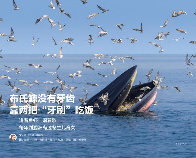 一年带娃看了几百个地方！最省妈的旅行方式必须收藏(图6)