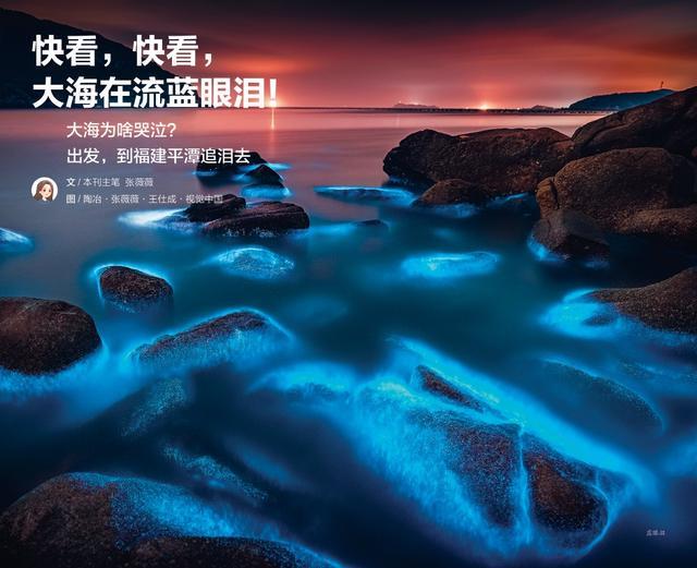 一年带娃看了几百个地方！最省妈的旅行方式必须收藏(图9)