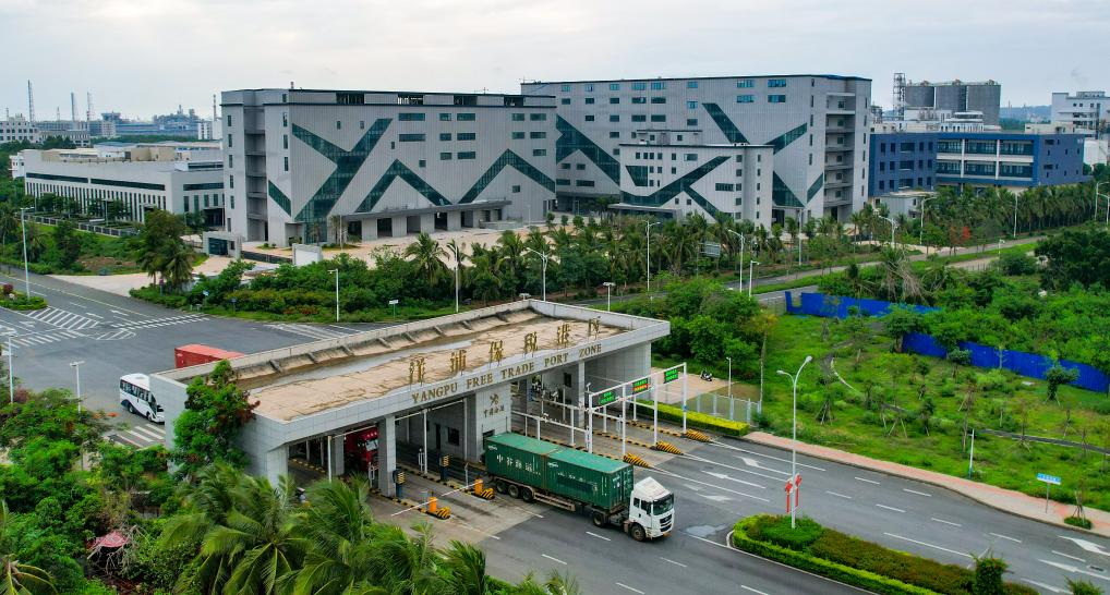 海岛新程｜政策红利释放助力企业降本增效(图2)