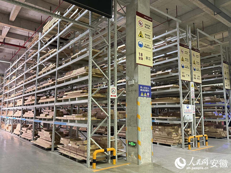 “双凤”展翼“三力”齐鸣②丨一座工厂与一条产业链的共振(图3)