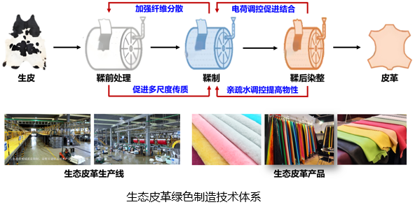 推动科技创新和产业创新深度融合系列报道之三：绿色化赋能轻工行业低碳转型(图4)